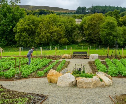 Vegatable Garden at Killeavy Castle Estate
