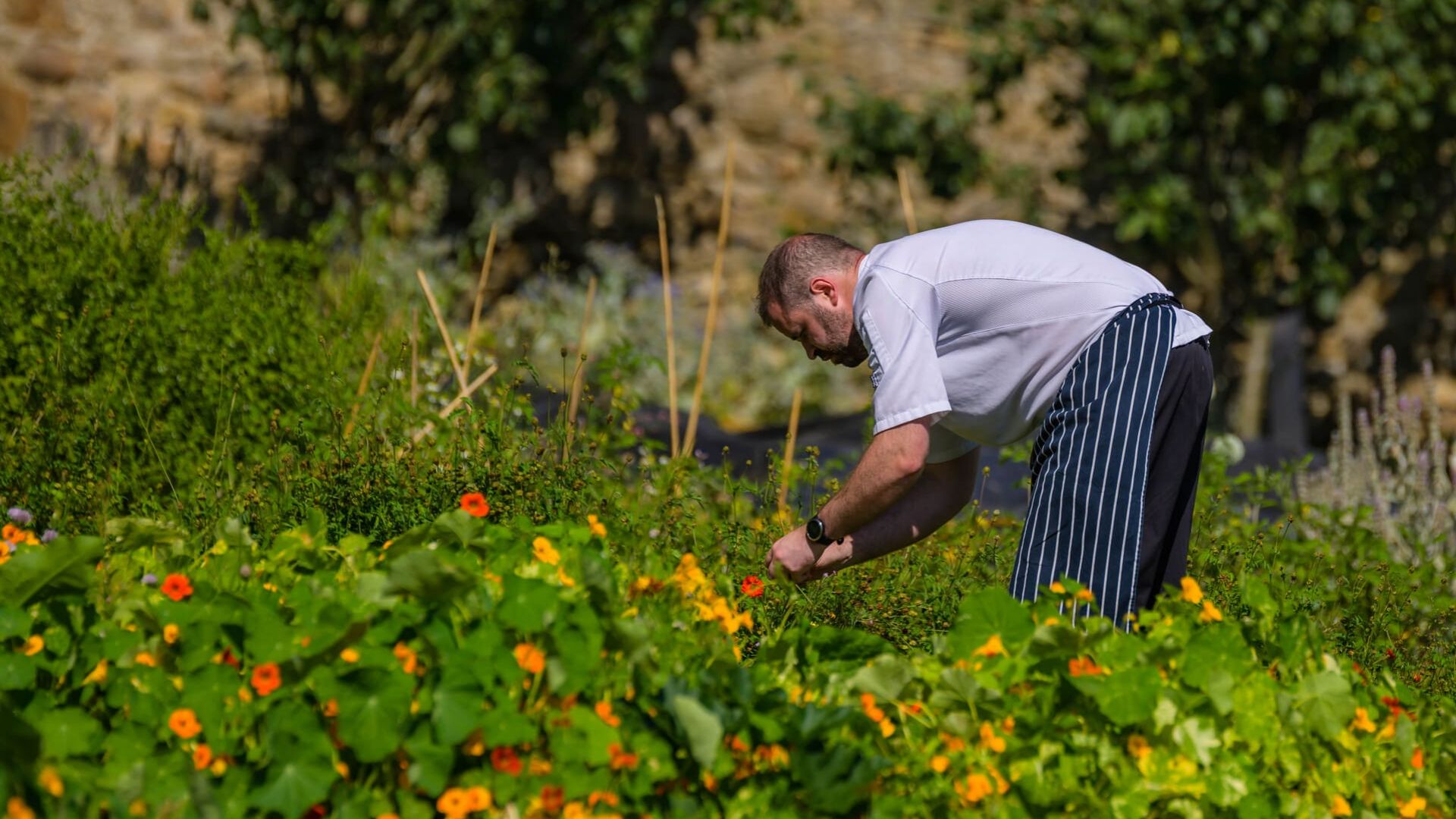 Working Farm at Killeavy Castle.