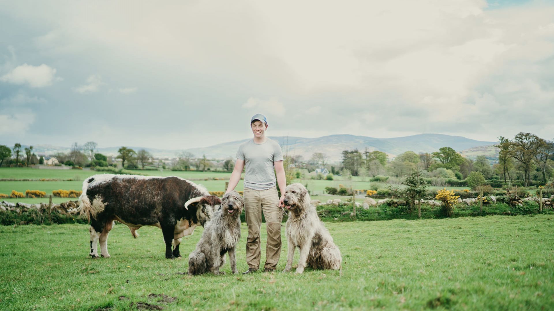 Working Farm at Killeavy Castle Estate