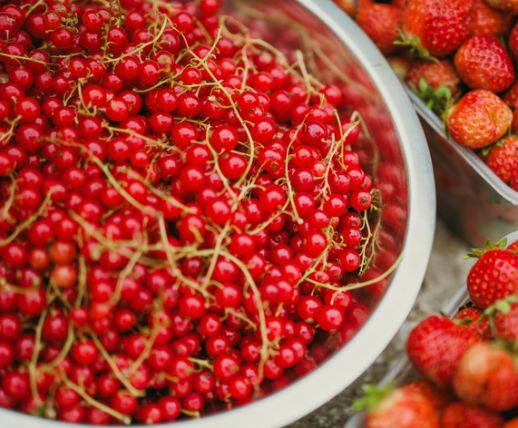 Fruits at Killeavy Castle Estate