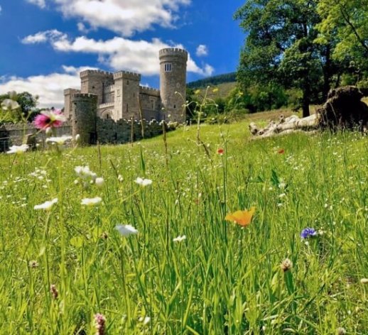 Wild flowers www.killeavycastle.com_v2