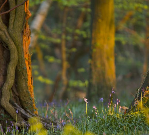 Midweek Breaks at Killeavy Castle Estate