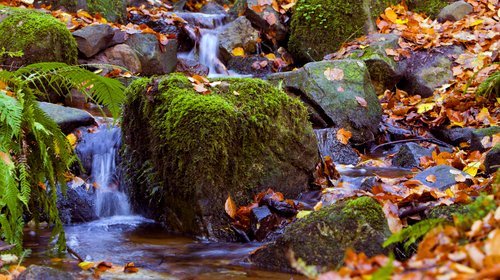Autumn Breaks
